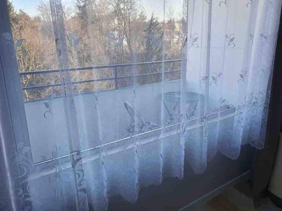 Apartment 55 I Cental Hof I Wifi I Tv Buitenkant foto